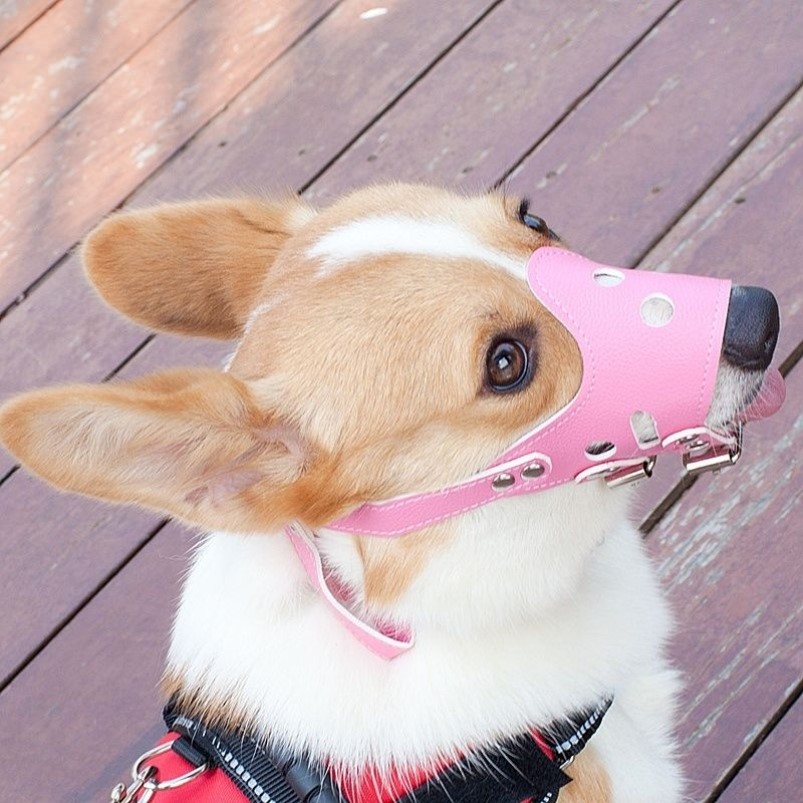 狗狗嘴套口罩防叫防咬防乱吃狗套大中小型犬宠物金毛萨摩耶止吠器