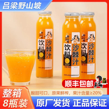 沙棘汁吕梁野山坡沙棘饮料8瓶装300ml整箱果汁网红沙棘汁山西特产