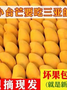 正宗海南小台农芒果10斤装整箱