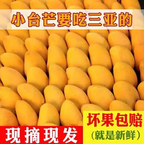 正宗海南小台农芒果10斤装整箱