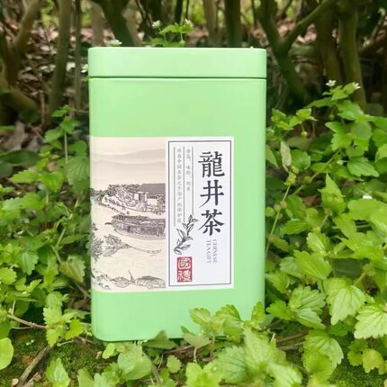 新茶事茶叶 半斤装雨前2026浙江龙井口粮茶（包邮）