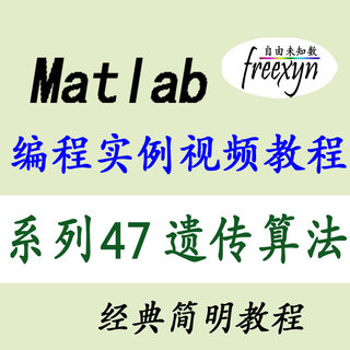 Matlab2020/遗传算法/编程实例/简明视频教程