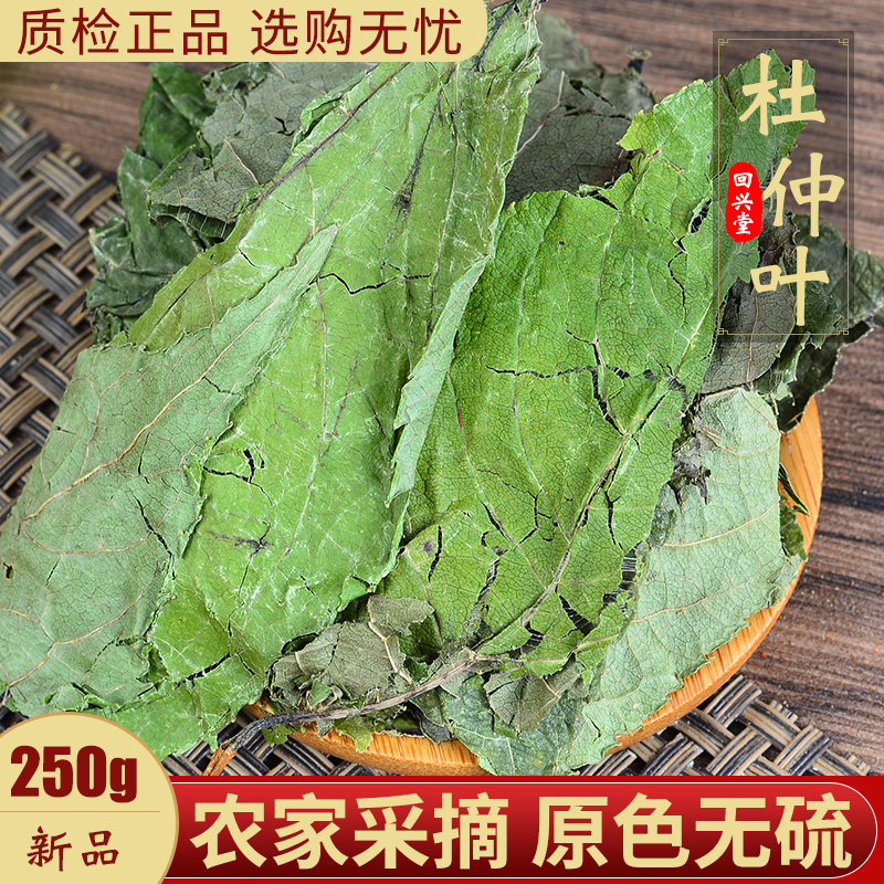 回兴堂中药材杜仲叶250克中草药棉芽杜仲树的叶子杜仲干叶