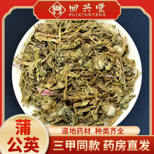 蒲公英500克蒲公英全草中草药中药饮片中药材抓配中药材药房直销