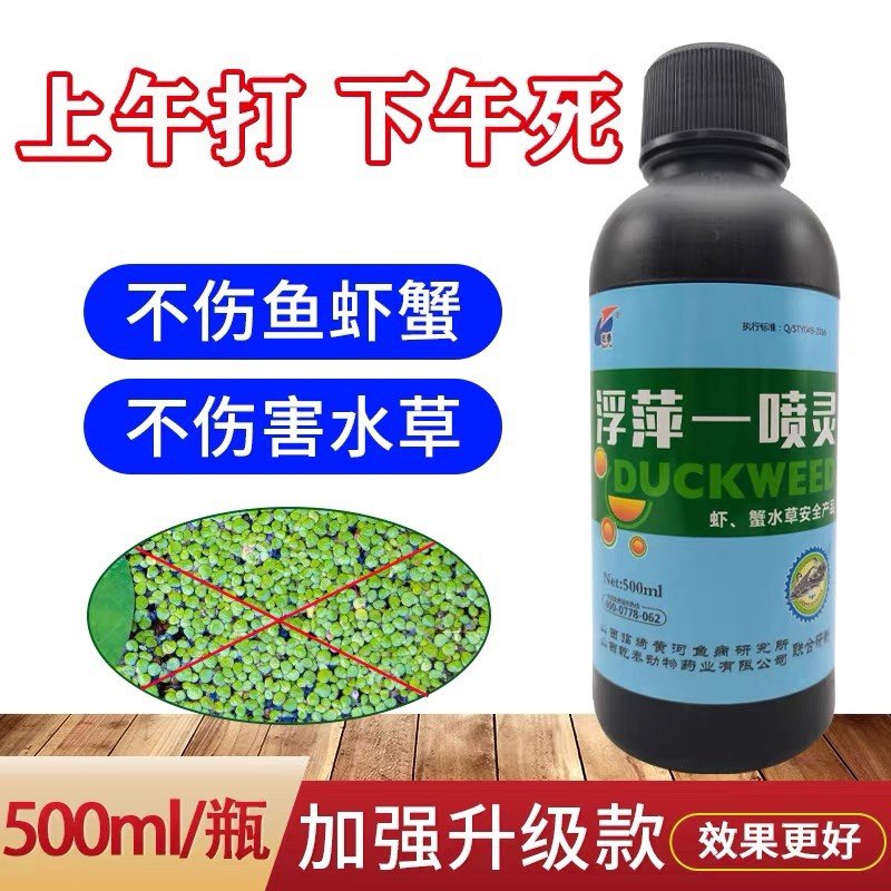 浮萍一喷灵克星杀浮萍药水产养殖鱼虾蟹莲藕塘稻田不伤水草浮萍净