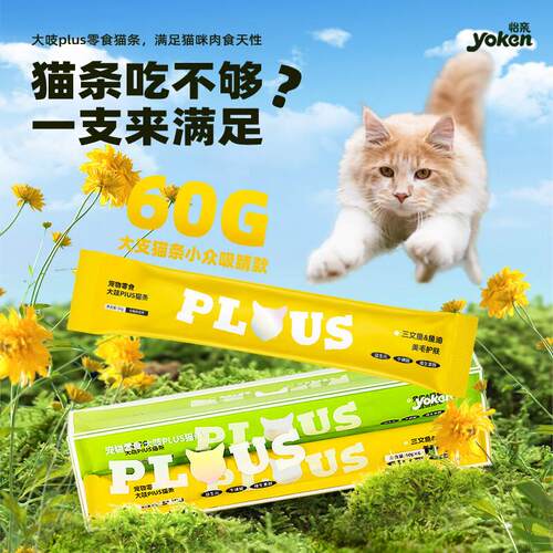 怡亲(YOKEN)猫咪零食幼猫成猫猫湿粮猫罐头营养猫大吱plus零食猫