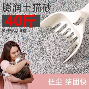 膨润土猫砂沙实惠装幼猫咪毛纱大包无尘 膨润土-柠檬味20斤+铲子