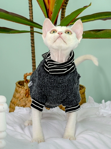 Немецкая одежда для кошек британский колледж вкусает короткая домашняя одежда безволосочной одежды