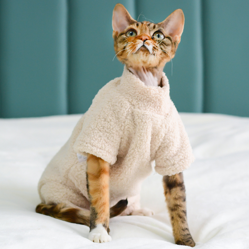 MOORSPET无毛猫衣服护肚四脚衣