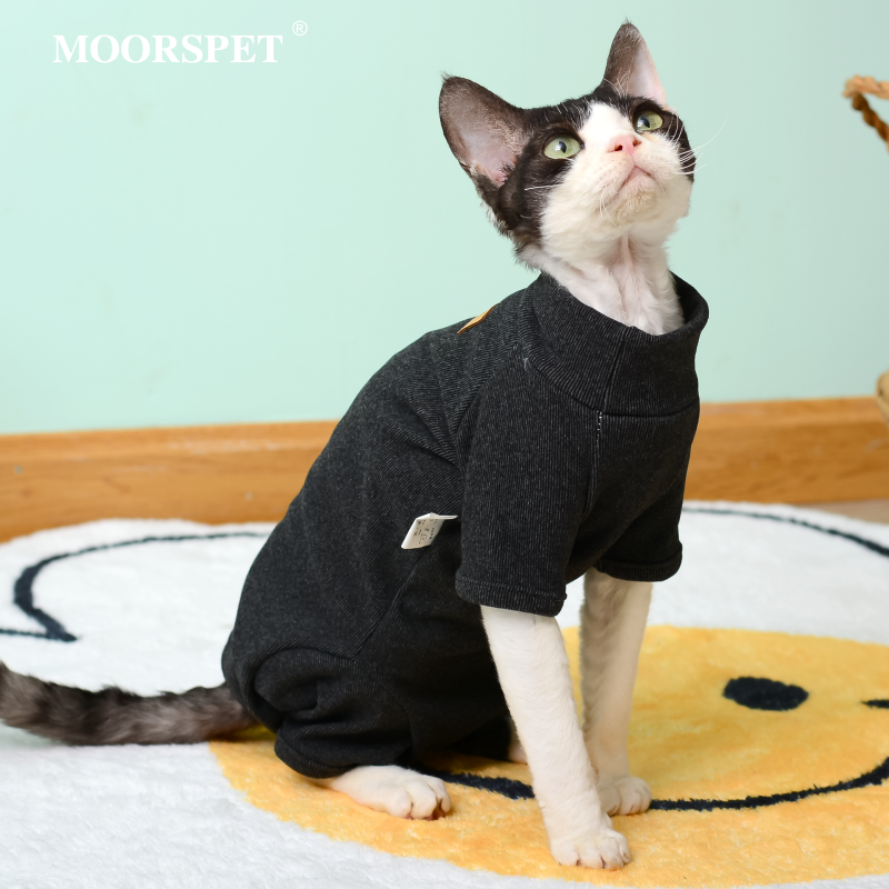 MOMO宠物猫衣服打底德文四脚衣英短幼猫司芬克斯无毛猫衣服护肚子
