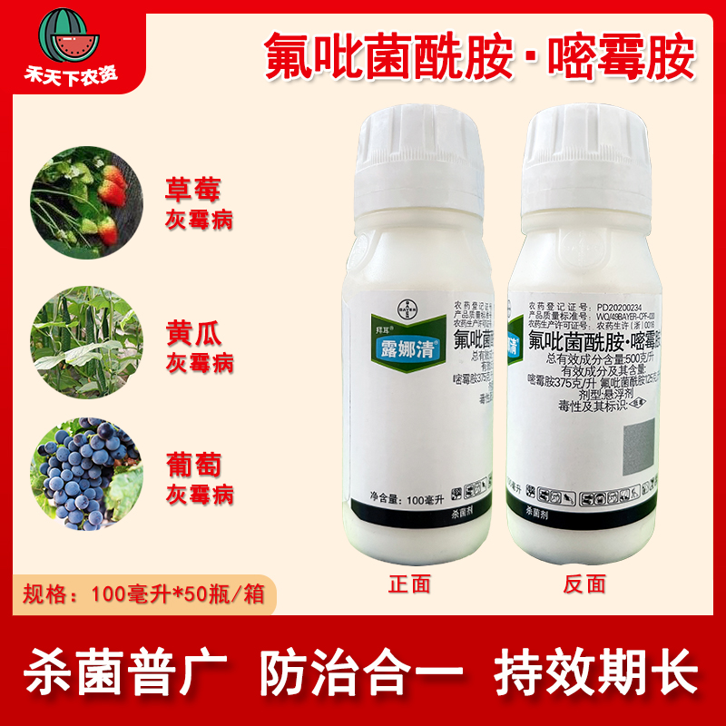 德国拜耳 露娜清 氟吡菌酰胺嘧霉胺草莓黄瓜葡萄灰霉病农药杀菌剂