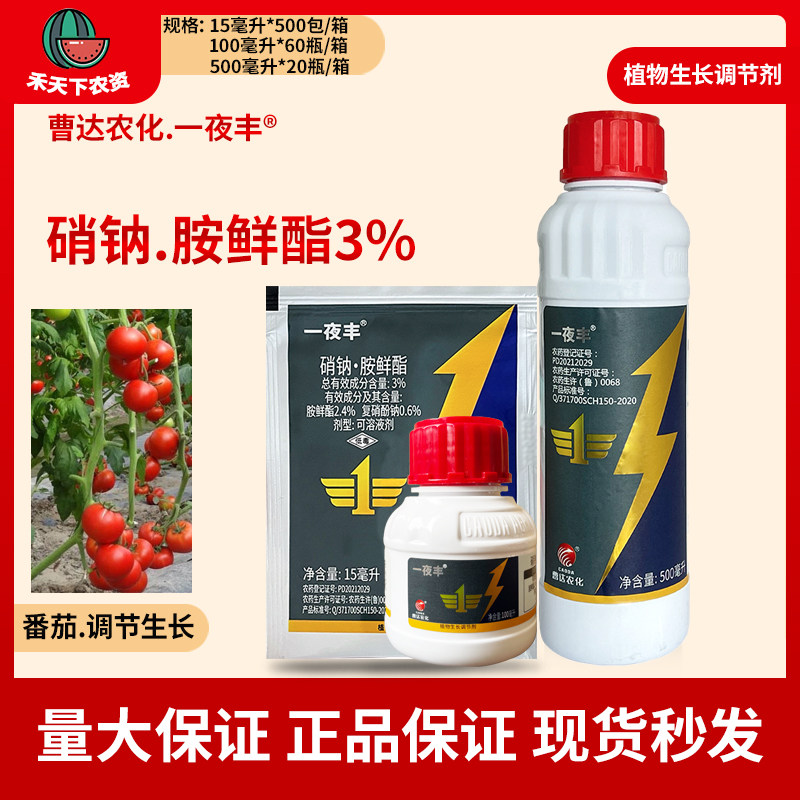 一夜丰3%硝钠胺鲜酯番茄生长调节