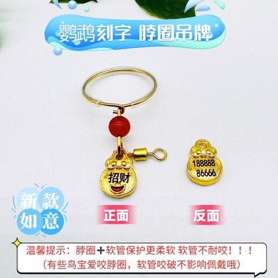 刻字鹦鹉不锈钢脖套训练脖圈遛鸟放飞脚链玄凤牡丹栓鸟链子绳子