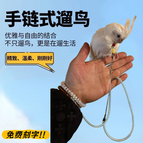 鹦鹉用超轻不伤脖伸缩放飞绳玄凤虎皮小太阳外出遛鸟和尚金太脖圈