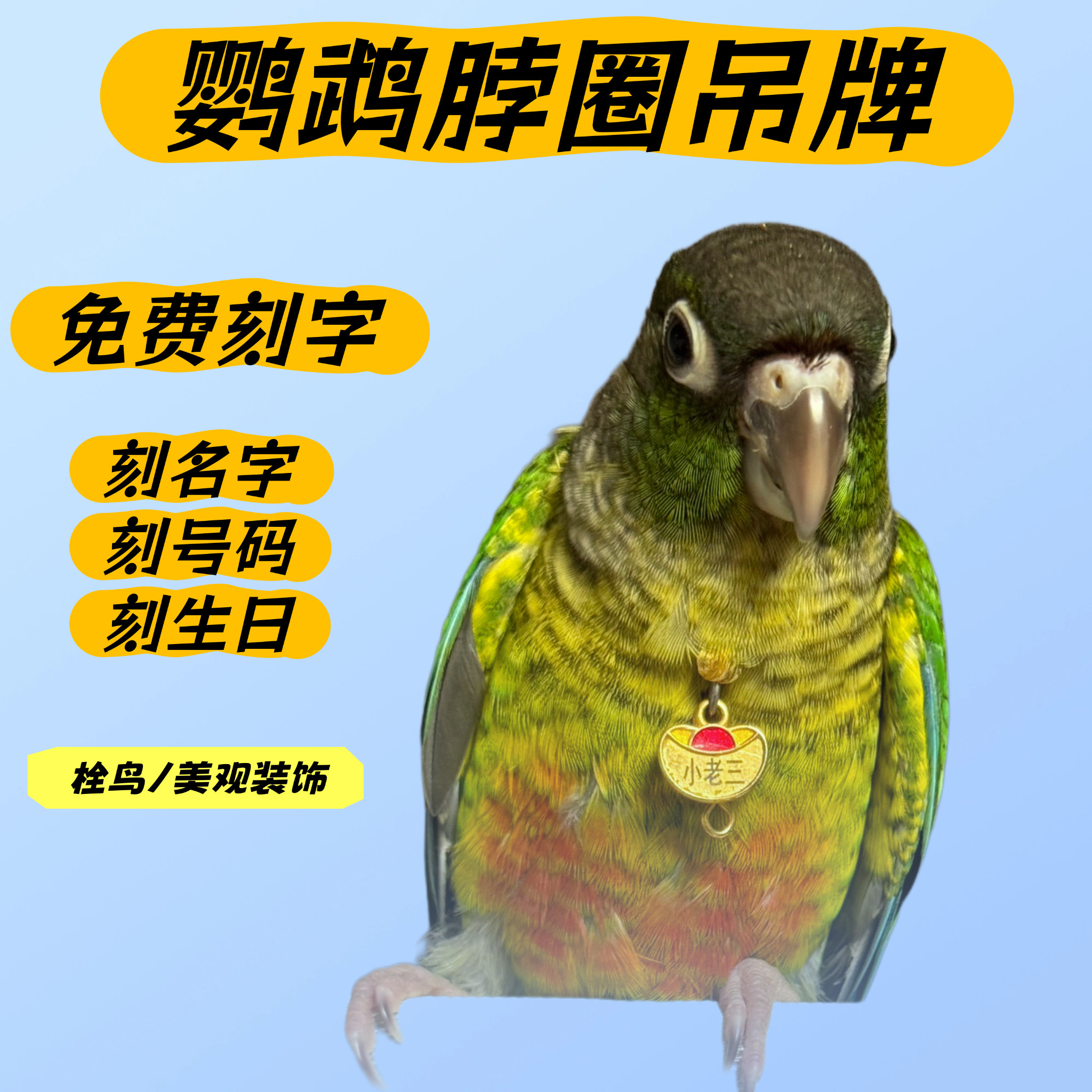 定制鹦鹉脖圈刻字防丢