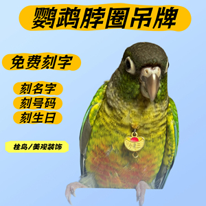 定制鹦鹉脖圈刻字防丢