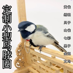 黄雀绣眼鸟脖套鹦鹉脖圈训鸟大山雀珍珠七彩文鸟栓链子燕雀玉鸟