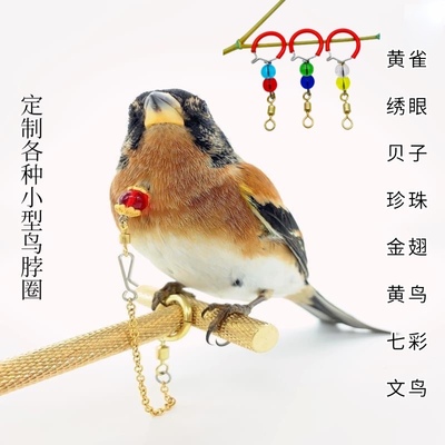 鹦鹉黄雀七彩珍珠贝子小型鸟脖圈