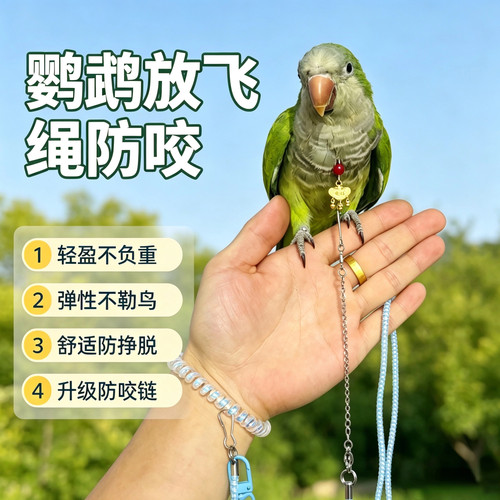 刻字鹦鹉脖圈链子外出遛鸟放飞绳脖套和尚小太阳金太阳玄凤牡丹