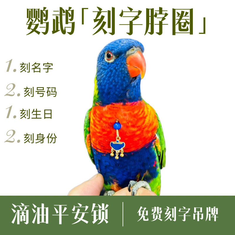 玄凤鹦鹉脖套链子放飞绳定制刻字吸蜜玄凤牡丹虎皮和尚金太阳脚环