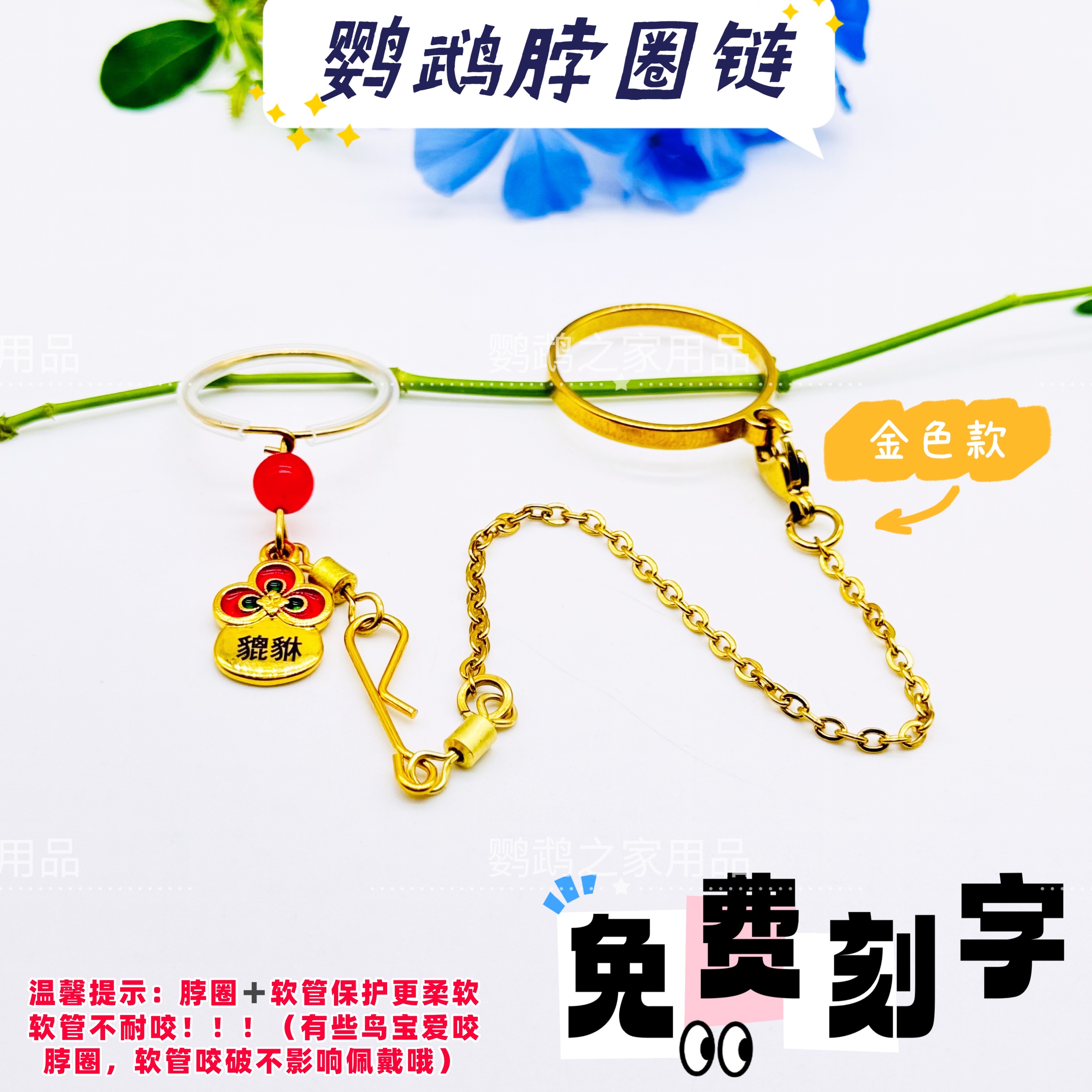 刻字款牡丹玄凤脖套外出遛鸟不锈钢脖圈链子训鸟和尚鹦鹉脚链脚环