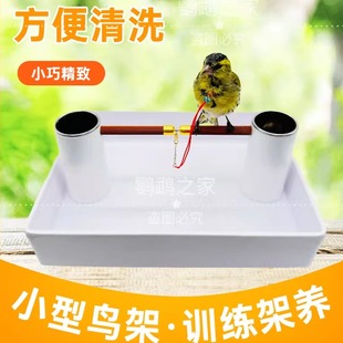 小型鸟架子绣眼脖套黄雀颠颏脖套栓鸟绳杂鸟栓款鸟用脖套细链子