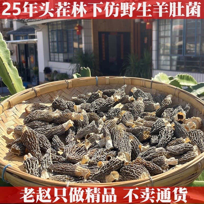 2025年老赵精选头茬仿野生种植羊肚菌干货菌菇云南特产山珍煲汤