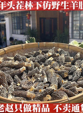 2025年老赵精选头茬仿野生种植羊肚菌干货菌菇云南特产山珍煲汤