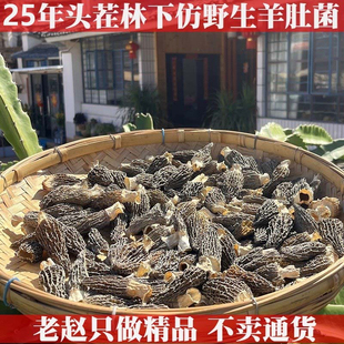 2025年老赵精选头茬仿野生种植羊肚菌干货菌菇云南特产山珍煲汤