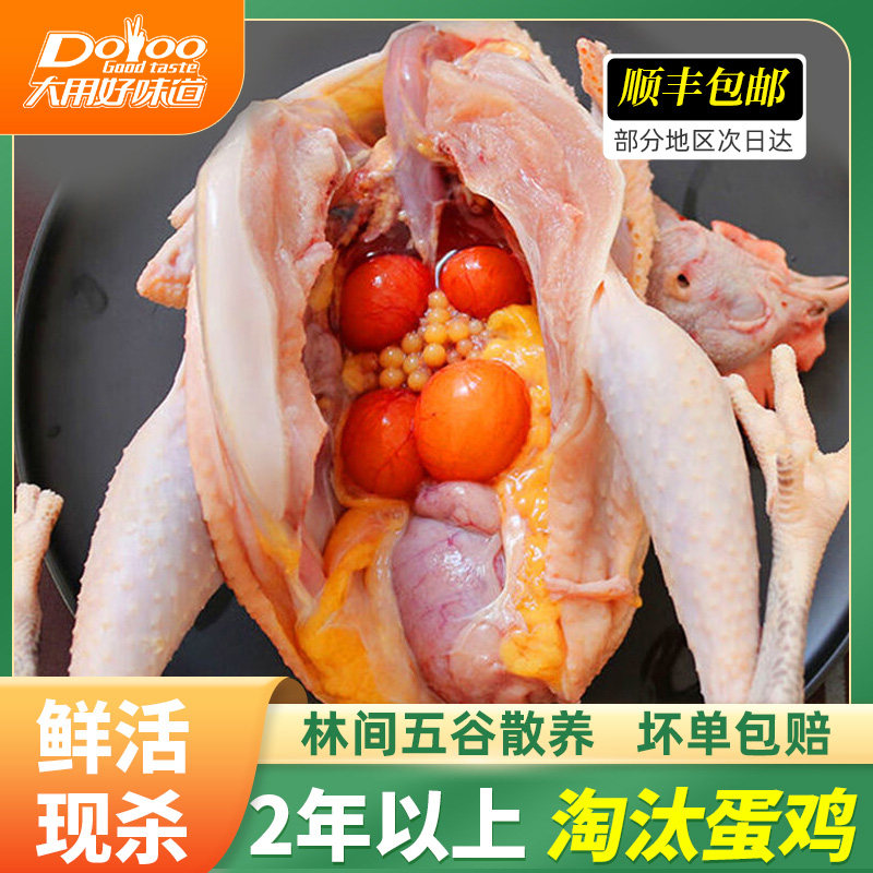 ���ڲ�����2������̭����ĸ��1000g*1ֻ ˳�����2������̭����ĸ����ɱ