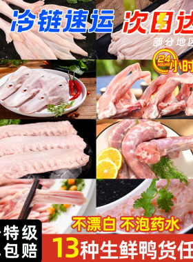 大用好味道鸭货生鲜冷冻批发鸭头鸭脖鸭翅鸭锁骨鸭肠鸭掌鸭舌鸭肉