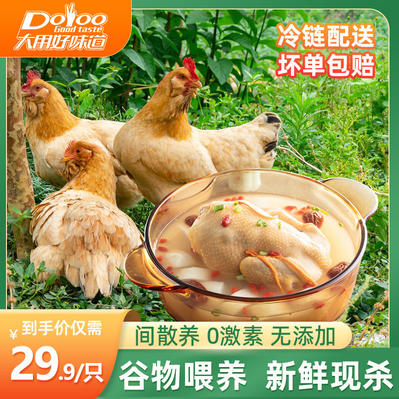 三黄鸡批发农家散养新鲜冰鲜清真正宗走地鸡土鸡鲜鸡肉冷冻西装鸡