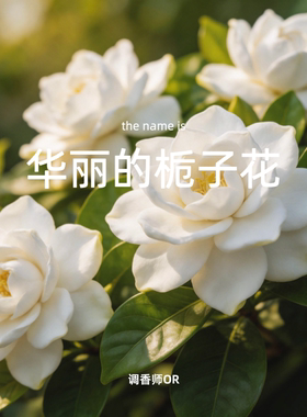 调香师OR【华丽的栀子花】原创小众香水