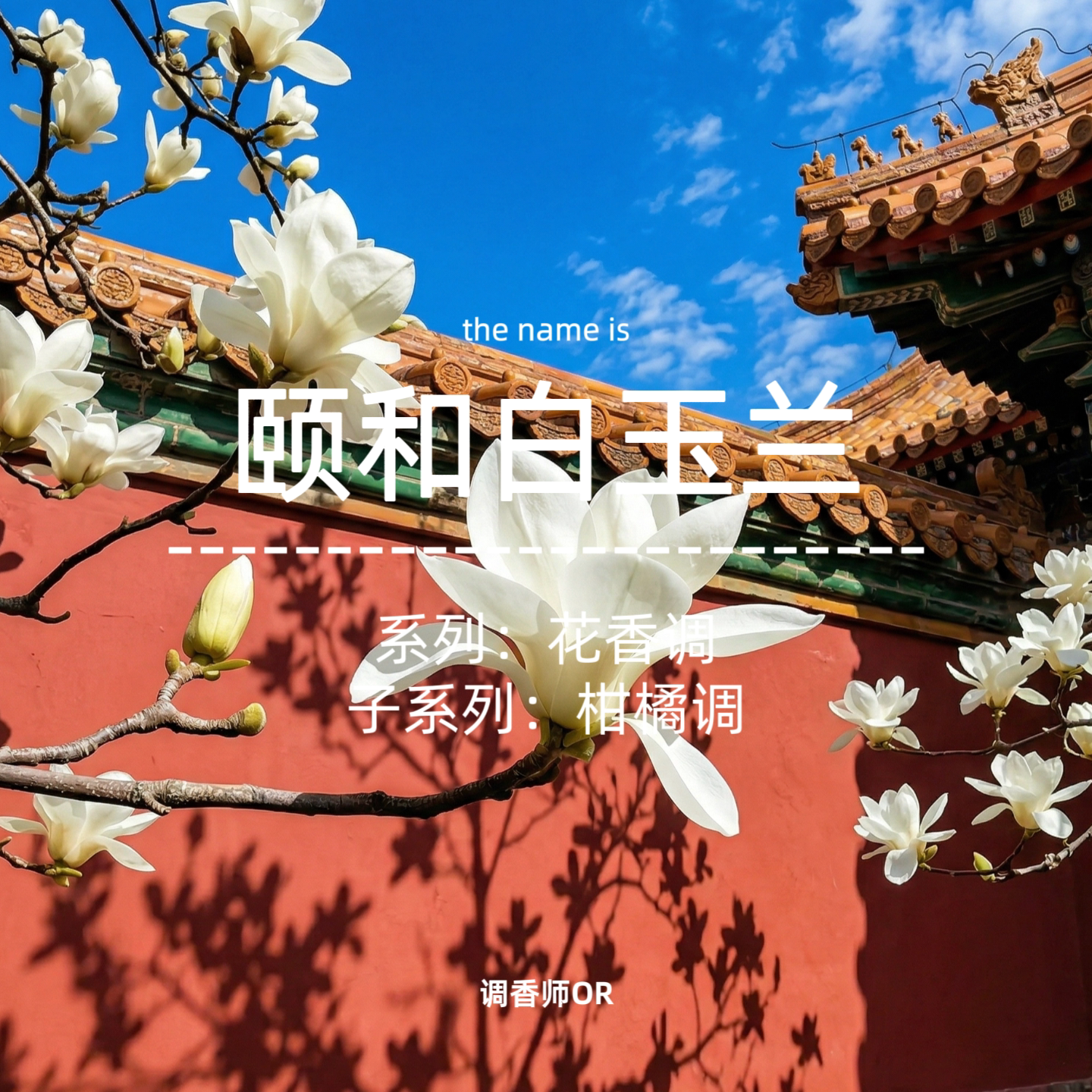 调香师OR【颐和白玉兰】原创小众香水 木兰诗语