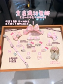原创宠物发夹bb夹不锈钢粉色头箍狗蝴蝶结马尔济斯约克夏小狗夹子