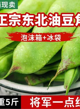 东北油豆角新鲜现发现摘红油豆一点红油豆新鲜蔬菜自家种全国包邮