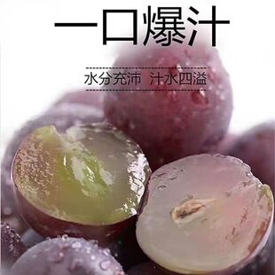 辽宁北镇特产辽峰无籽葡萄当季新鲜水果可以剥皮颗粒包装混装