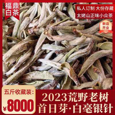 【2023荒野老树头采白毫银针】太姥山福鼎白茶/茶农自产自销2500g