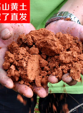 天然高山黄土红土黄泥土花卉盆栽茶花杜鹃花兰花培植面土多肉绿植