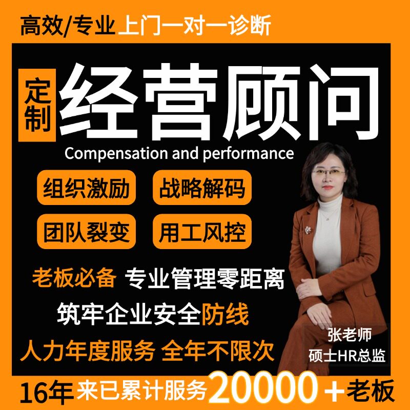 企业管理薪酬绩效人力资源经营顾问年度战略规划制定执行全套方案