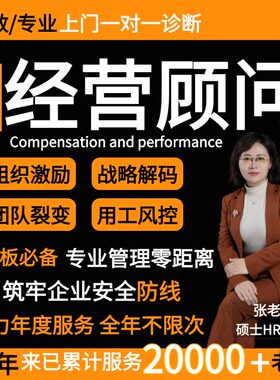 企业管理薪酬绩效人力资源经营顾问年度战略规划制定执行全套方案