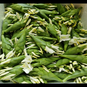 野姜花鲜花 草果花 白蝴蝶花 食用做纯露酿酒火锅煮汤