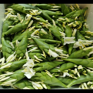 野姜花鲜花 草果花 白蝴蝶花 食用做纯露酿酒火锅煮汤