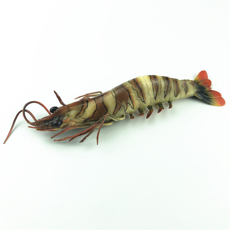 미국 AAA 3A 시뮬레이션 동물 모델 수생 호랑이 새우 대형 및 중형 TIGER PRAWN MONODON
