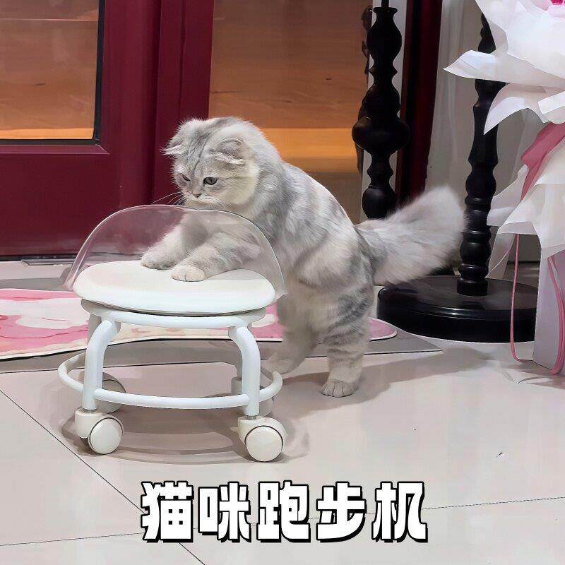 猫咪跑步机宠物推车小型