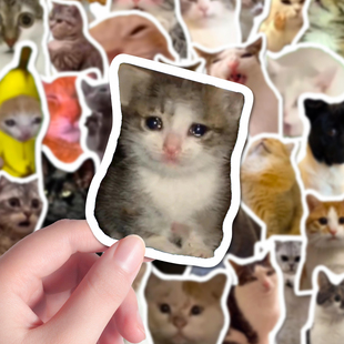 202张卡通猫meme贴纸抖音同款 饰手账笔记贴画 搞笑猫meme趣味小猫装
