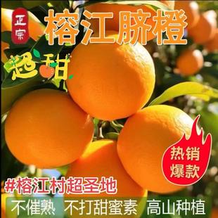 正宗贵州村超脐橙榕江高山种植5-10斤装榕江橙子新鲜采摘果园直发