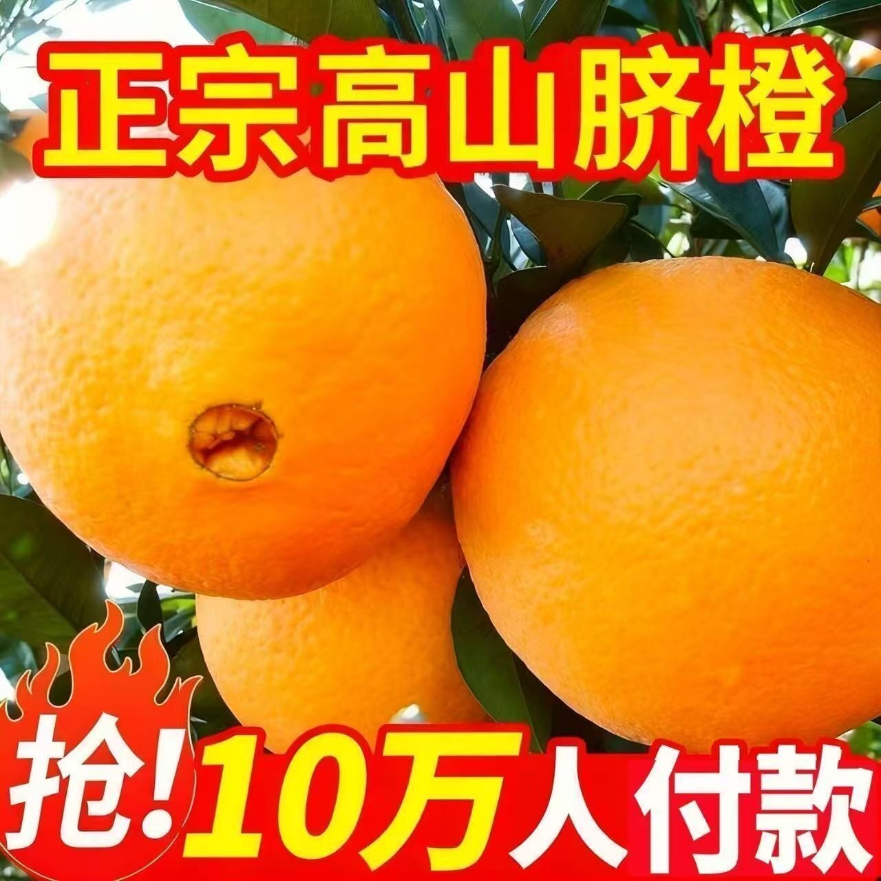 贵州榕江高山脐橙,果场现采发货(带箱重量10斤每箱)