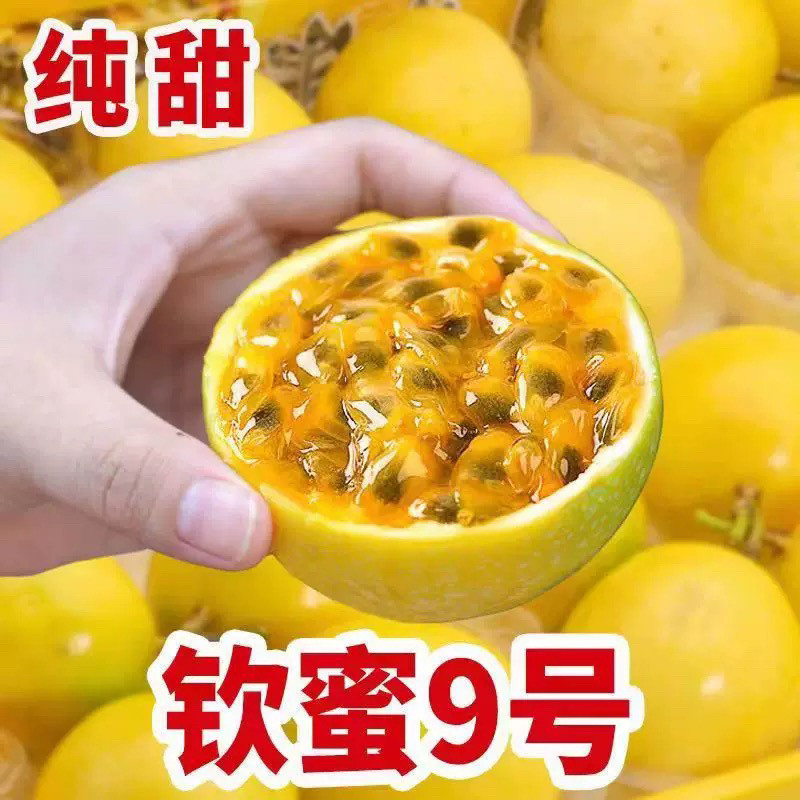 甜甜的钦密9号黄金百香果1/3/5/8斤当季新鲜采摘应季水果代发价