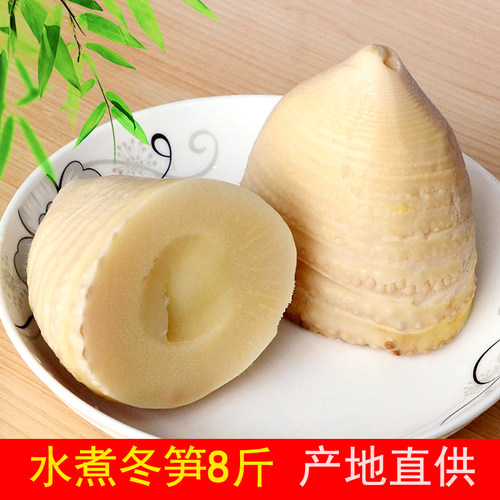 野生铁桶装冬笋尖量贩优惠